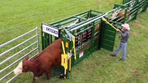 Cattle equipment considerations - West Texas Livestock Growers